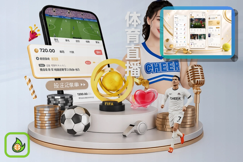 球迷世界杯看台狂欢观赛指南